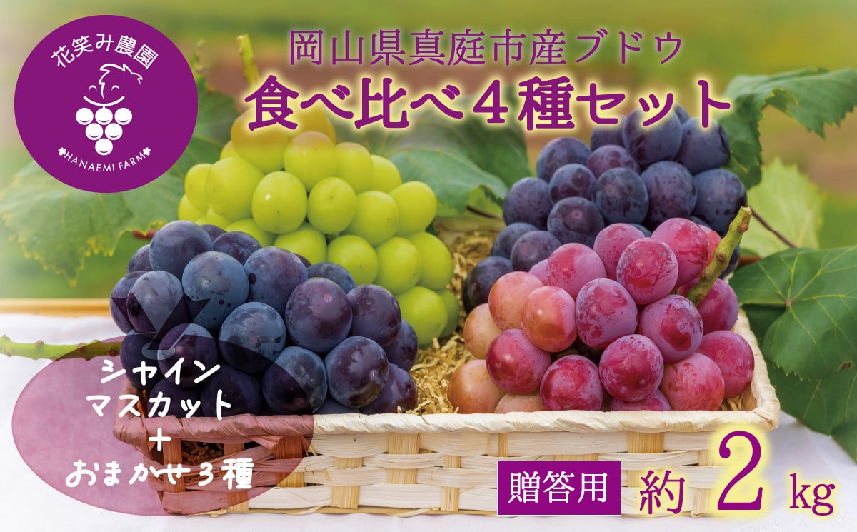 
            hana19-1.岡山　花笑み農園のブドウ『食べ比べ４種セット』シャインマスカット入り　2kg（4房）
          
