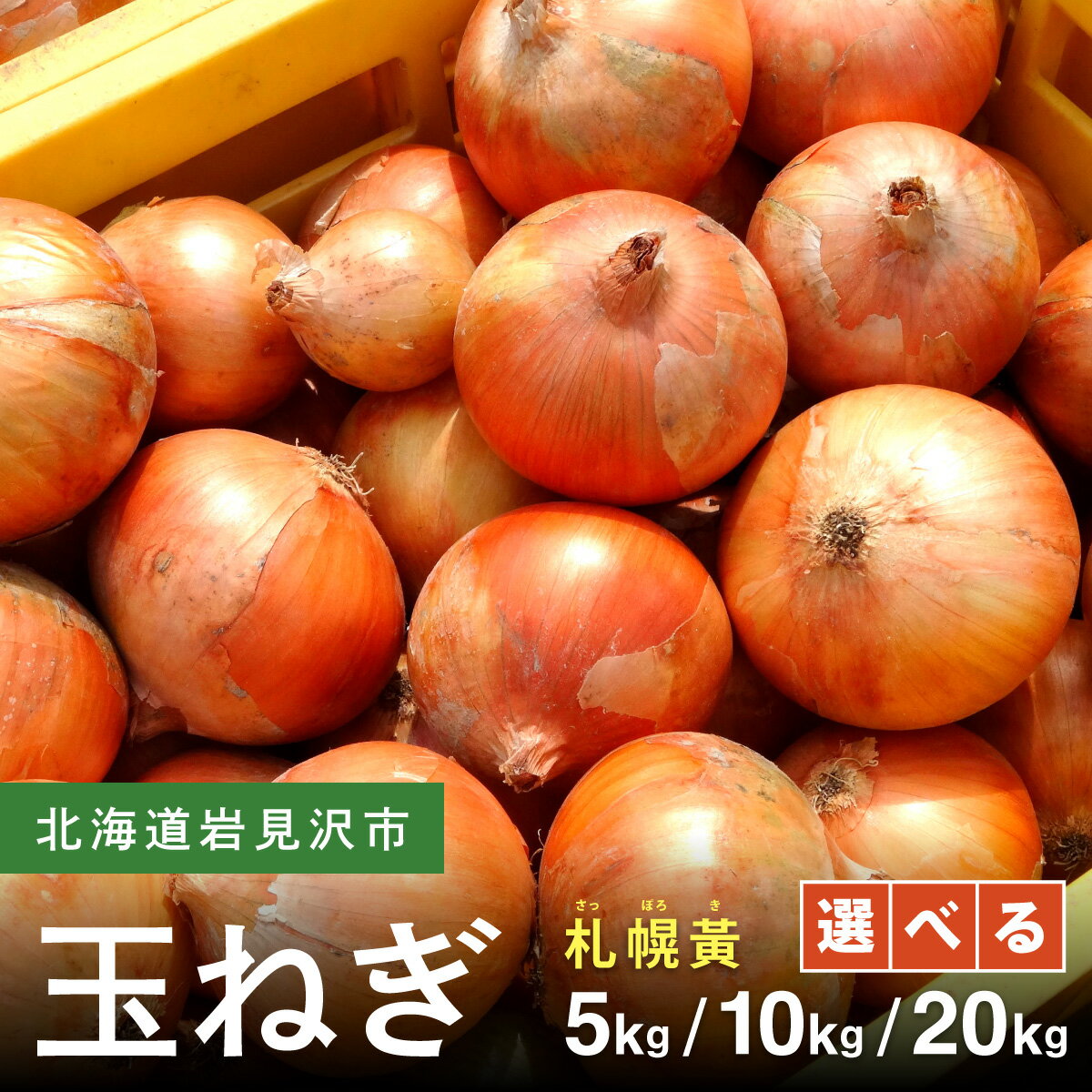 【ふるさと納税】先行予約 ＜内容量が選べる＞ 幻の玉ねぎ！札幌黄（さっぽろき） 5kg / 10kg / 20kg たまねぎ 玉葱 タマネギ国産 産地直送 まとめ買い 業務用 贈り物 甘い 野菜 シャキシャキ 美味しい 北海道 送料無料