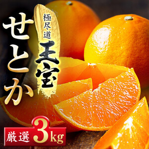 「玉宝ブランド」【せとか】3kg【E64-47】【1511359】