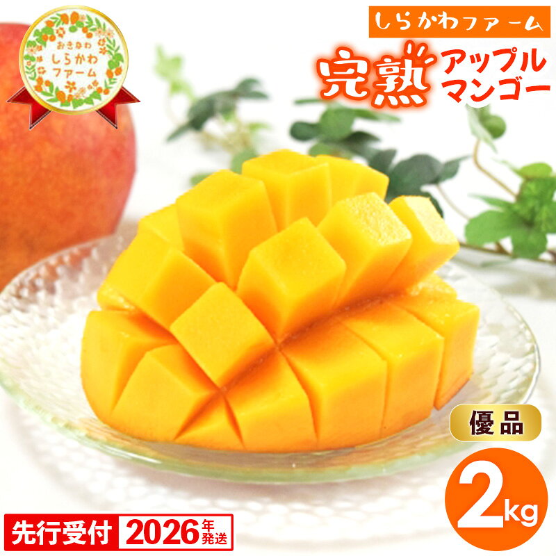 【ふるさと納税】【2026年発送】しらかわファームのアップルマンゴー 優品 約2kg （3～5玉）- 沖縄 産地直送 南国フルーツ 旬の味覚 旬のフルーツ 贈り物 ギフト 沖縄県 八重瀬町