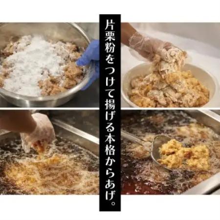 空とぶからあげ(塩にんにく味)　生タイプ1.2kg【配送不可地域：離島】【1742550】
