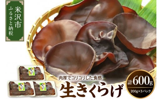 【 期間限定 】 生きくらげ 計 600g （ 200g × 3パック ）〔 2024年 6月 ～ 10月 中旬頃お届け 〕 米沢産 きくらげ きのこ 冷蔵