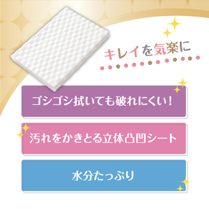 キレキラ！トイレクリーナー１枚で徹底おそうじシートクリーンフローラルつめかえ用　20枚×12パック