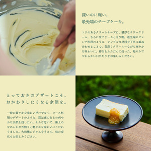 シルクチーズケーキ ハーフサイズ2本 大和橘ジャム 中川政七商店 奈良県 奈良市 なら 23-002