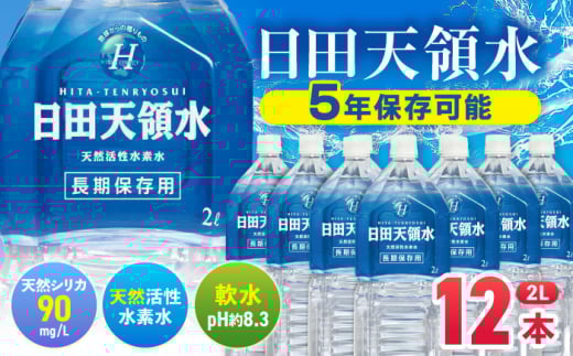 日田天領水 長期保存用2L×6本×2箱 飲料水 水 みず 備蓄 防災 天然水 天然 ミネラルウォーター みねらるうぉーたー ミネラル シリカ 日田市 / グリーングループ株式会社[AREG032]