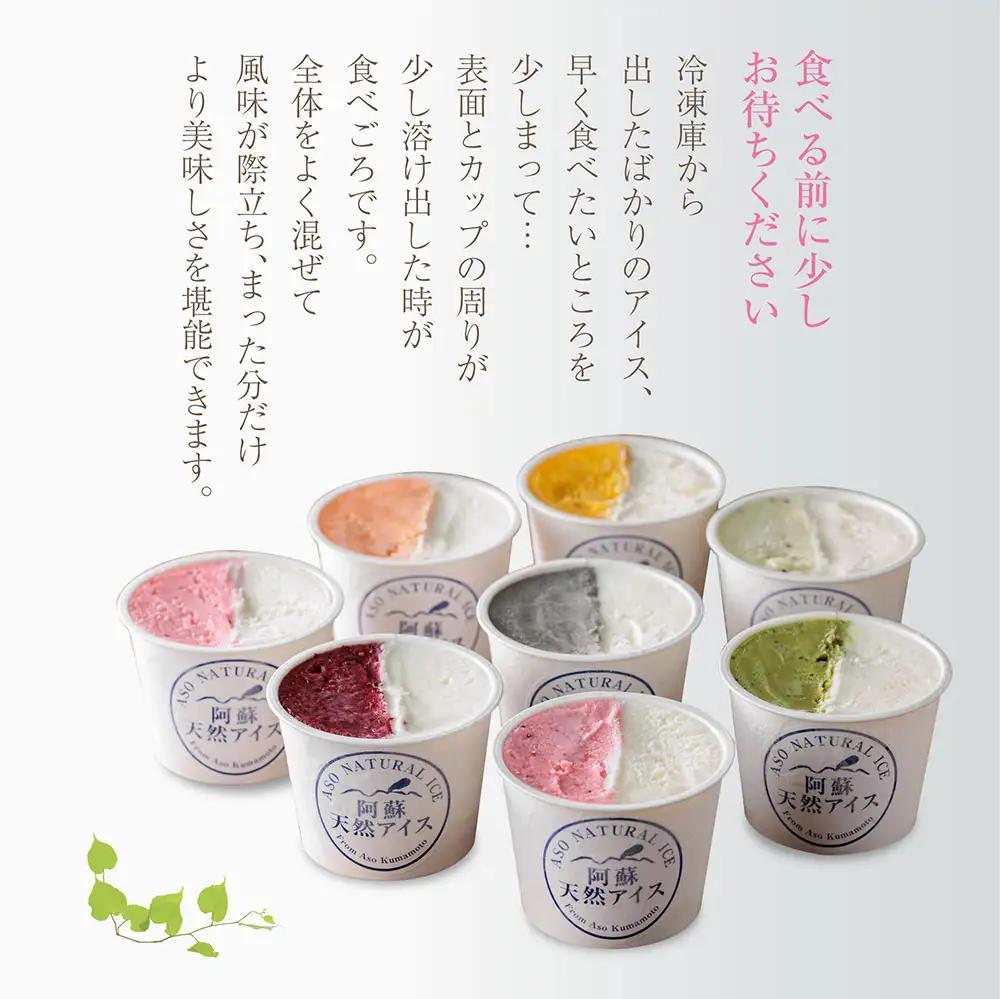 阿蘇天然アイス 18個セット（生キャラメルチョコ・ブルーベリー・抹茶・いちご・マンゴー・ミルク）6種×3個 計18個 ジェラート 阿蘇市 