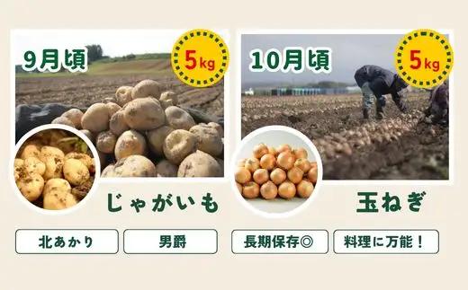 旬の野菜定期便 5回 【令和9年産予約受付】 美瑛の四季 唐松（小）  野菜