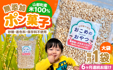 【全6回定期便】おこめのおやつ大袋 1袋【株式会社キゴコロ】[YDZ024]