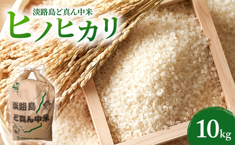 
            【令和７年度産先行予約】 淡路島ど真ん中米 ヒノヒカリ 精白米 10kg 兵庫県 洲本市 淡路島 [№5395-0412]
          