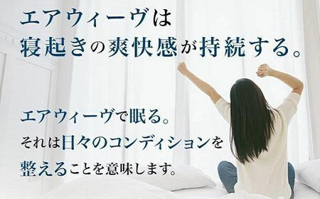 【大府市産新米5合付き】エアウィーヴ ピロー S-LINE × ピローケース ソフトタッチ ネイビー