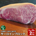 【ふるさと納税】【定期便】【5ヶ月毎2回】GI認証くまもとあか牛 サーロインブロック 計2kg（1kg×2回）サーロイン 牛肉 お肉 肉 ブランド牛 和牛 あか牛 ブロック 九州 国産 冷凍 熊本県 上天草市 送料無料