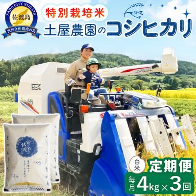 ふるさと納税 佐渡市 【毎月定期便】佐渡島産コシヒカリ 白米4kg 土屋農園 農家直送 特別栽培米 　全3回