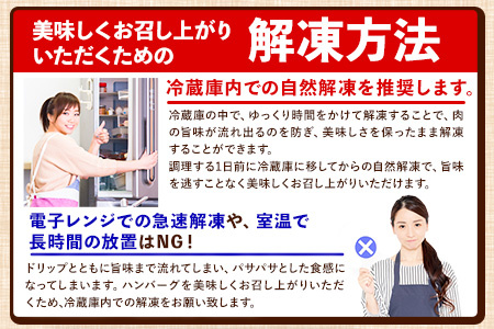 ステーキマニア監修 熊本県産 あか牛 100% 生ハンバーグ 140g×13個入り 合計1820g 《60日以内に出荷予定(土日祝除く)》熊本県産あか牛 バイキングベーカリー 冷凍 ハンバーグ