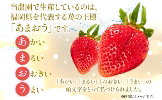 【3回定期便】 期間限定 いちご あまおう 苺 イチゴ 1.6kg あまおう（大玉）、2パック×3回（1月、2月、3月）定期便 【2026年1月～3月中に順次発送】 ※北海道・沖縄・離島は配送不可 大