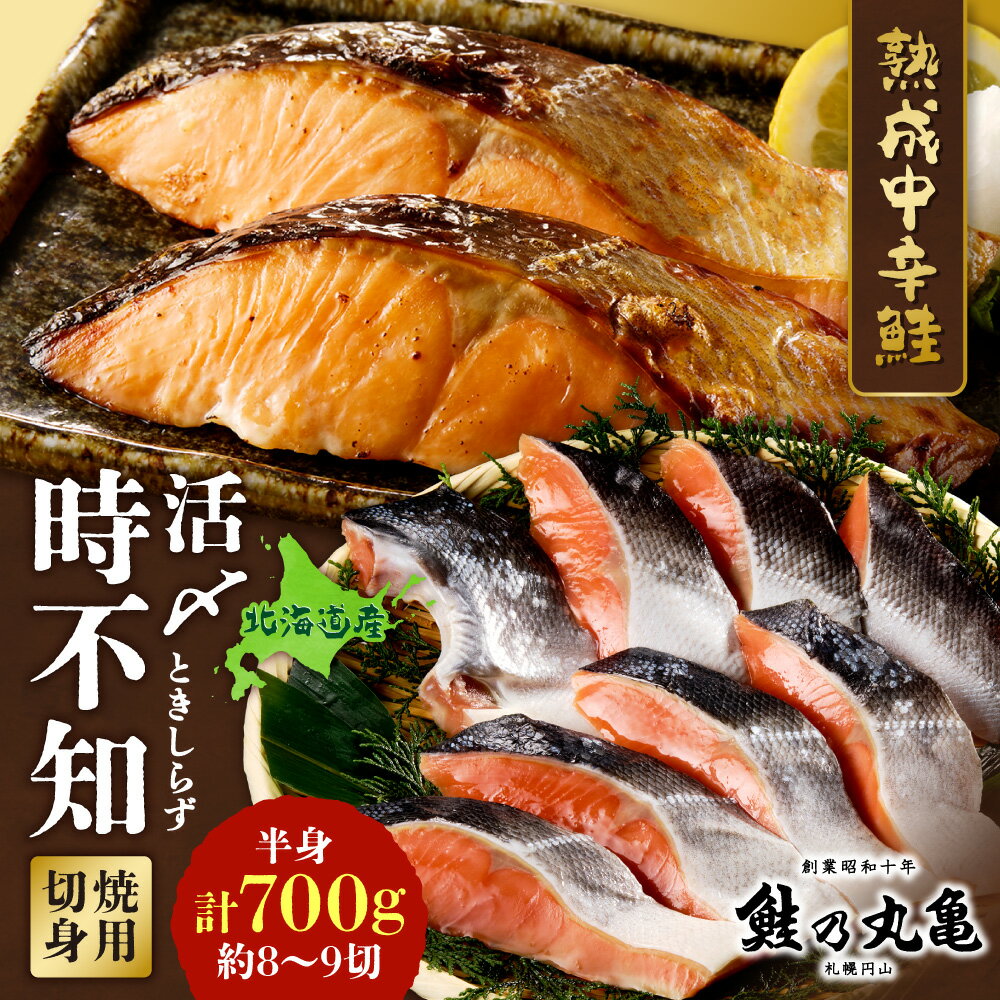 【ふるさと納税】 鮭 鮭乃丸亀 北海道産 8切～9切 活〆時不知 白鮭 切身 半身 焼用鮭 熟成 希少 高級 真空包装 冷凍 水産 焼き魚 おかず お弁当 海鮮 魚介 お取り寄せ しゃけ 魚 個包装 小分け 北海道 札幌市