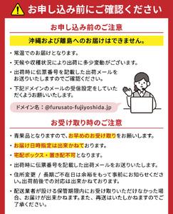 【 2024年 先行予約 】【 定期便 】 厳選 フルーツ 3回 定期便 詰合せ フルーツ詰め合わせ 山梨 フルーツ定期便 フルーツセット シャインマスカット 桃 採れたてシャインマスカット フルーツ