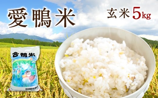 〈令和7年産〉愛鴨米 玄米 5kg【2025年10月上旬～2026年10月上旬発送予定】