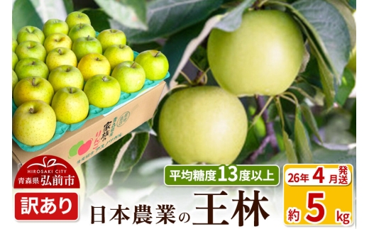 【寄附額見直しました】【26年4月クール便発送】りんご 平均糖度13度以上！ 王林 約5kg 訳あり CA貯蔵 クール便 青森 果物 フルーツ 林檎 リンゴ くだもの 不揃い 規格外 [りんご 王林 訳あり CA貯蔵 クール便 青森 果物 フルーツ 林檎 リンゴ くだもの 弘前]