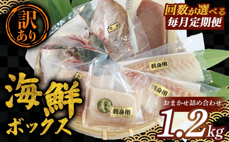 
            毎月定期便 訳あり 海鮮 ボックス 1.2kg セット 毎月 全2回～3回 冷凍 真空パック おまかせ マグロ まぐろ 鮪 生まぐろ 鯛 たい かんぱち 勘八 シマアジ ヒラマサ 平昌 新鮮 魚 魚介 海鮮 海産物 海 特産品 海の幸 産地直送 国産 三重県 南伊勢 伊勢 志摩 城水産 
          
