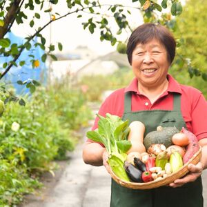 ＜3ヵ月定期便＞農業遺産認定農家 陽子ファームの旬の野菜詰め合わせ 7～8種 | 埼玉県 所沢市 野菜 野菜 季節の野菜 無農薬 フレッシュ セット 詰め合わせ サラダ 料理 炒め物 煮物 スムージー