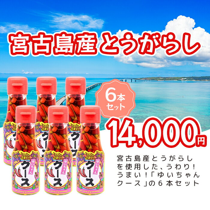 【ふるさと納税】うわり！うまい！「ゆいちゃんクース」6本セット（DQ043）