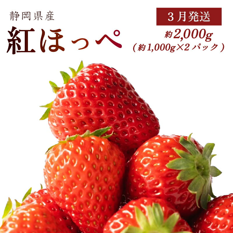 【ふるさと納税】 3月発送 土耕栽培 濃い 甘い 紅ほっぺ 合計 2000g以上 いちご イチゴ 苺 フルーツ 果物 贈答用 ギフト プレゼント 旬 季節限定 特産品 名産 農産物 高糖度 新鮮 産地直送 自然栽培 贅沢 美味しい おいしい 牧之原市 静岡県 森木農園