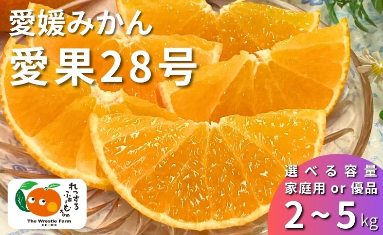 
                  【2026年先行予約】みかん 愛媛県 愛果28号 紅まどんなと同一品種 【選べる容量】 2kg 3kg 5kg 訳あり ご家庭用 優品 贈答用 ＜2026年11月下旬から順次発送予定＞ レッスルファーム 数量限定 おすすめ 美味しい おいしい グルメ フルーツ くだもの 人気 柑橘 伊予市
                