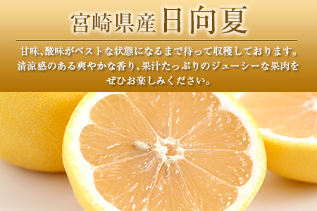 ◆みやざきブランドセット（完熟きんかん たまたま・日向夏）合計約3.5kg 宮崎県産