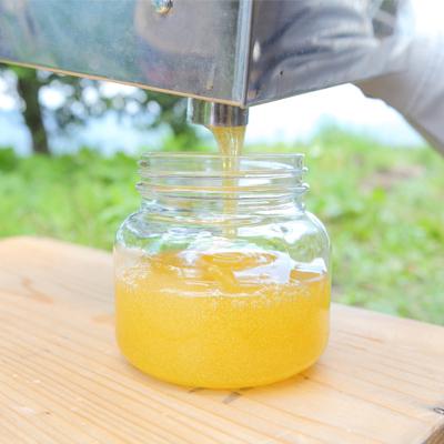 ふるさと納税 沼田市 奥利根坂井の蜂蜜セット250g×3 |  | 02