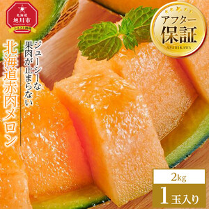 【先行予約】北海道赤肉メロン　2kg　1玉入り（2026年7月中旬から発送開始）| メロン _04753