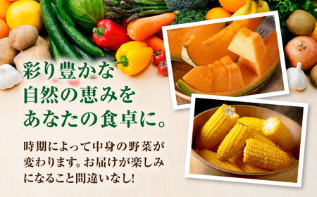 【2026年10月上旬以降順次発送】朝採れ 旬の野菜 10品目 野菜 先行予約 北海道 産地直送 旬 詰合せ [AJAH033]