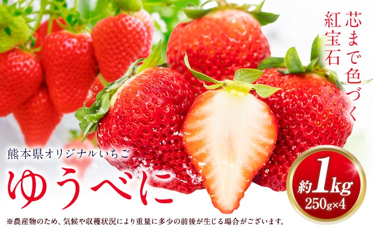 ゆうべに 約1kg 250g×4パック エフビーネット 道の駅竜北《2027年1月上旬-4月中旬頃出荷》熊本県 氷川町 苺 フルーツ 国産 果物 熊本県産 冷蔵 小分け 旬 いちご---hkw_26_efb_1_1kg---