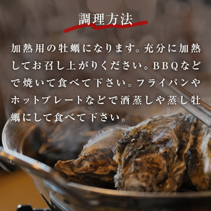 訳あり 冷凍 殻付き牡蠣 10kg 加熱用 三陸産 牡蠣