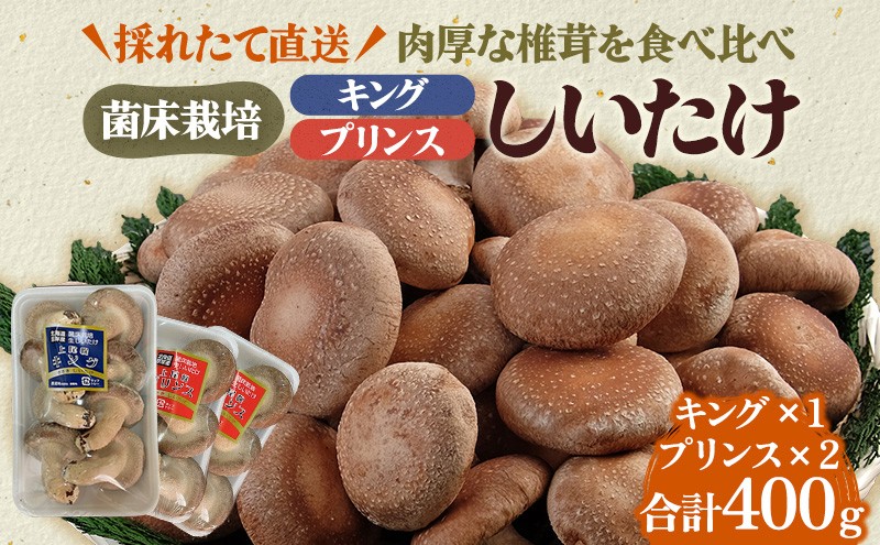 
                  北海道産 厚岸町 上尾幌 菌床栽培 キングしいたけ 1パック プリンスしいたけ 2パック  [№5863-1115]
                