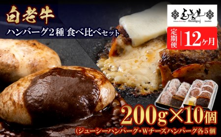 定期便12カ月 お楽しみ 白老牛 2種 食べ比べ ハンバーグ セット 合計10個 BY108