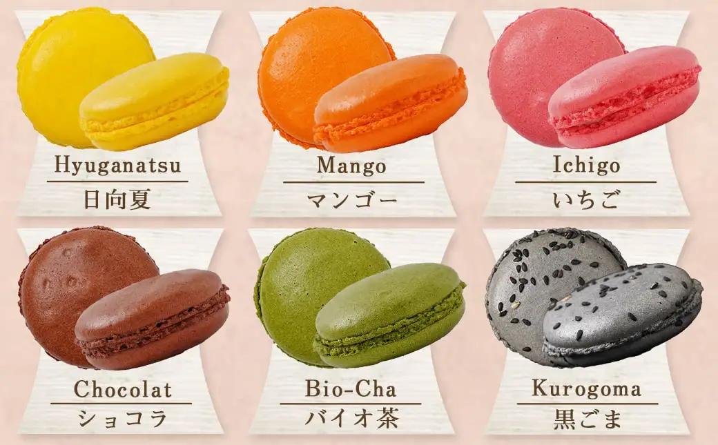 静マカロン缶～選べる8個セット～〔LG-C202〕_(都城市) 日向夏 マンゴー いちご ショコラ バイオ茶 黒ごま ラムレーズン コーヒー 塩キャラメル ショコラフランボワーズ さくら レモン 和三