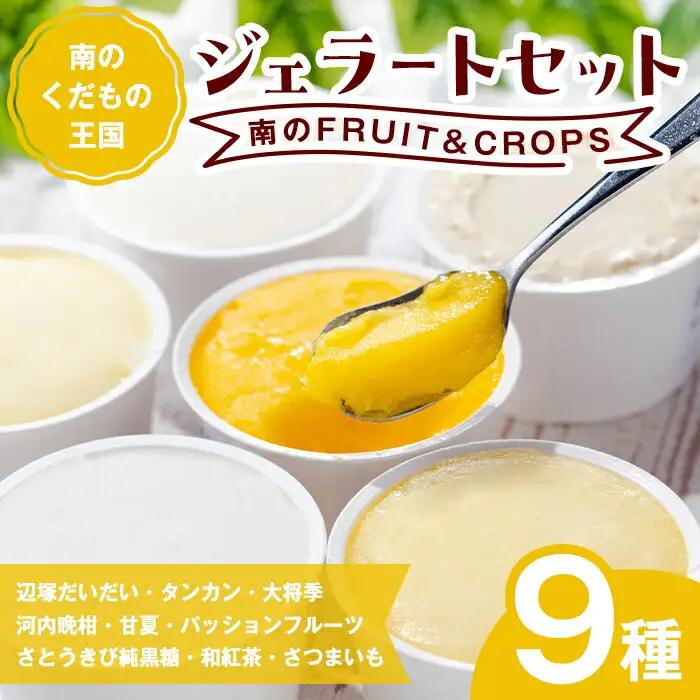 【A83004】＜2026年4月以降順次発送予定＞南のくだもの王国 南のFRUIT＆CROPS ジェラート セット (9種 9個入り) ジェラート アイスクリーム アイス スイーツ フルーツ おやつ デザート お菓子 冷凍 冷凍食品 ギフト 甘夏 タンカン 柑橘 大将季 【農地所有適格法人株式会社P＆Y'sLabo】