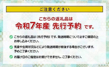【令和7年産先行予約】【定期便6ヶ月】殿やの特別栽培米「つや姫」無洗米 10kg×6ヶ月 山形県鶴岡市産　K-775