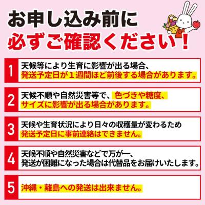 ふるさと納税 福島市 福島のフルーツ定期便2回コース 桃 柿【2025年 先行受付】No.2866 |  | 02