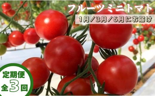 
            【定期便全3回 1月・3月・6月にお届け】四万十川源流域で育まれた 絶品 フルーツミニトマト 1kg 
          