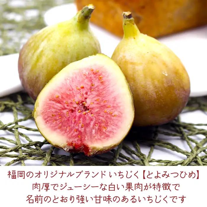 【福岡県産】とよみつひめ（イチジク） 1.2kg(300g×4P) 2J7