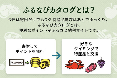 【有効期限なし！後からゆっくり特産品を選べる】北海道恵庭市カタログポイント