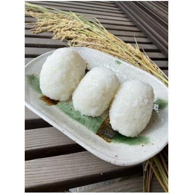 ふるさと納税 つくば市 【令和7年産】茨城県産コシヒカリ　精米10kg |  | 03