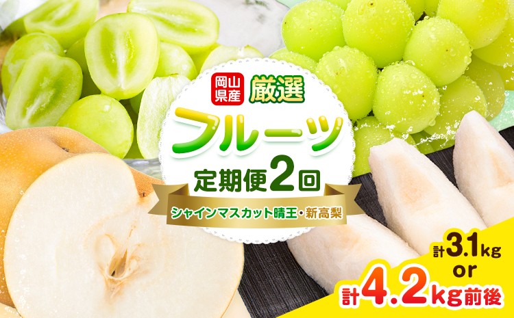 
                  岡山県産 厳選 フルーツ 定期便 2回 シャインマスカット 晴王  新高梨 選べる 計3.1kg前後 計4.2kg前後 株式会社藍《9月上旬-10月下旬頃出荷》 岡山県 浅口市 岡山県産 シャインマスカット 新高梨 梨 旬 フルーツ 果物 くだもの 送料無料 【配送不可地域あり】（北海道・沖縄・離島）
                