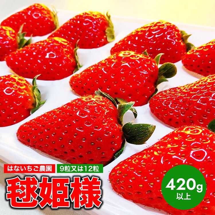 【ふるさと納税】はないちご農園「毬姫様」9粒または12粒 |まりひめ 苺 いちご イチゴ 美浜町 ふるさと納税 果物 フルーツ 果実 くだもの はないちご農園