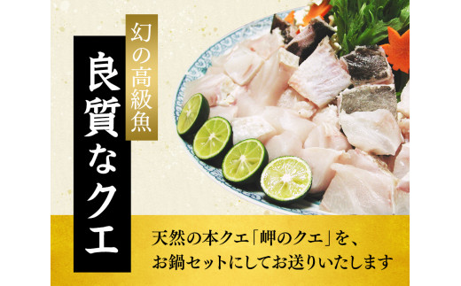 天然本くえ ちり鍋セット3人前 【期間限定・1/31まで】【お野菜・自家製ぽん酢付き】 ※北海道・沖縄・離島は発送不可 / 鍋 高級 くえ鍋 クエ鍋 野菜 本クエ ポン酢 ぽんず 田辺市 和歌山県 贈