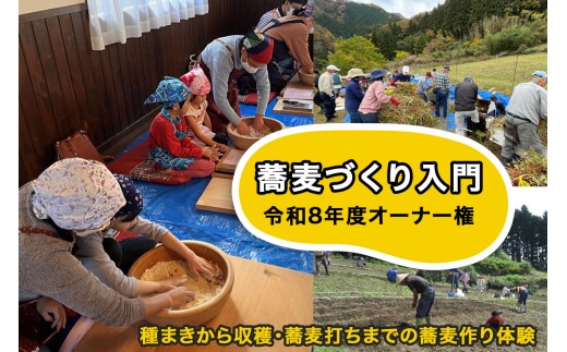 蕎麦づくり入門 令和8年度オーナー権 種まきから収穫 蕎麦打ちまでの蕎麦作り体験｜蕎麦打ち 農業体験 親子体験型 週末体験 収穫 体験 お蕎麦 そば イベント 初心者歓迎 群馬県 甘楽町 [0432]