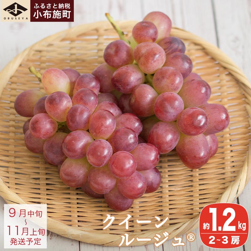 【ふるさと納税】クイーンルージュ® 約1.2kg ［小布施屋］ぶどう フルーツ 果物 くだもの 葡萄 ブドウ クール便 冷蔵 お楽しみ 長野県産 信州産 令和7年産 【2025年9月中旬～11月上旬発送】