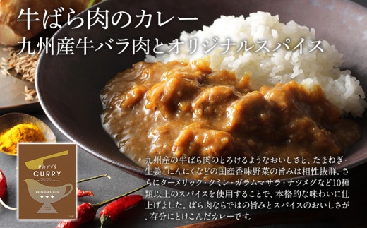 牛ばら肉のカレー 4食セット　(株)ピエトロ