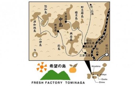 【4月上旬から発送】 希望の島 サマー清見 4kg 愛媛 中島産 ( サマー清見 みかん  みかん 柑橘 中島 みかん サマー清見 みかん  みかん 愛媛県産 みかん サマー清見 みかん  みかん )
